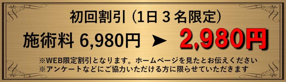 ホームページ限定割引　2,980円